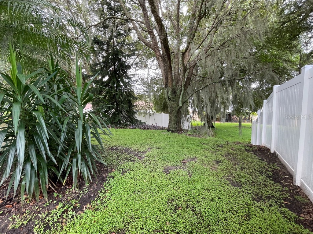 185 Winding Cove Avenue Apopka FL 32703 O6237365 image21