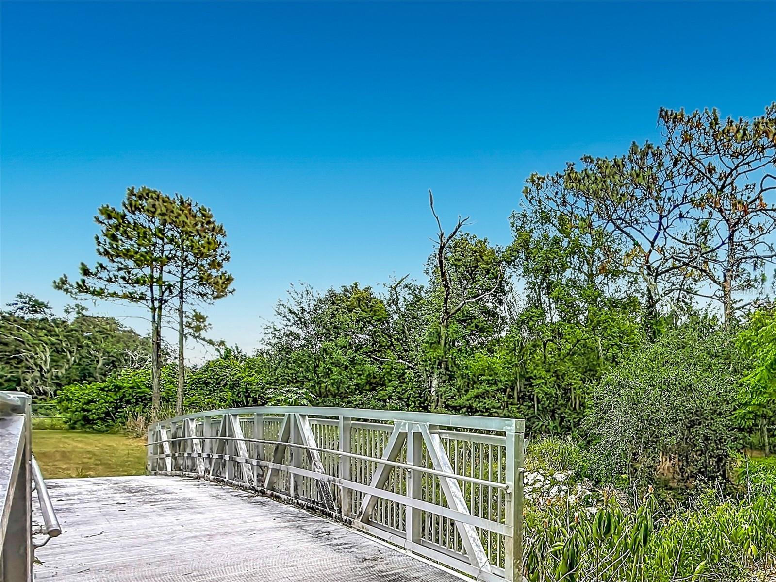 1850 Oak Creek Drive Dunedin FL 34698 - CURLEW CREEK TB8526218 image63
