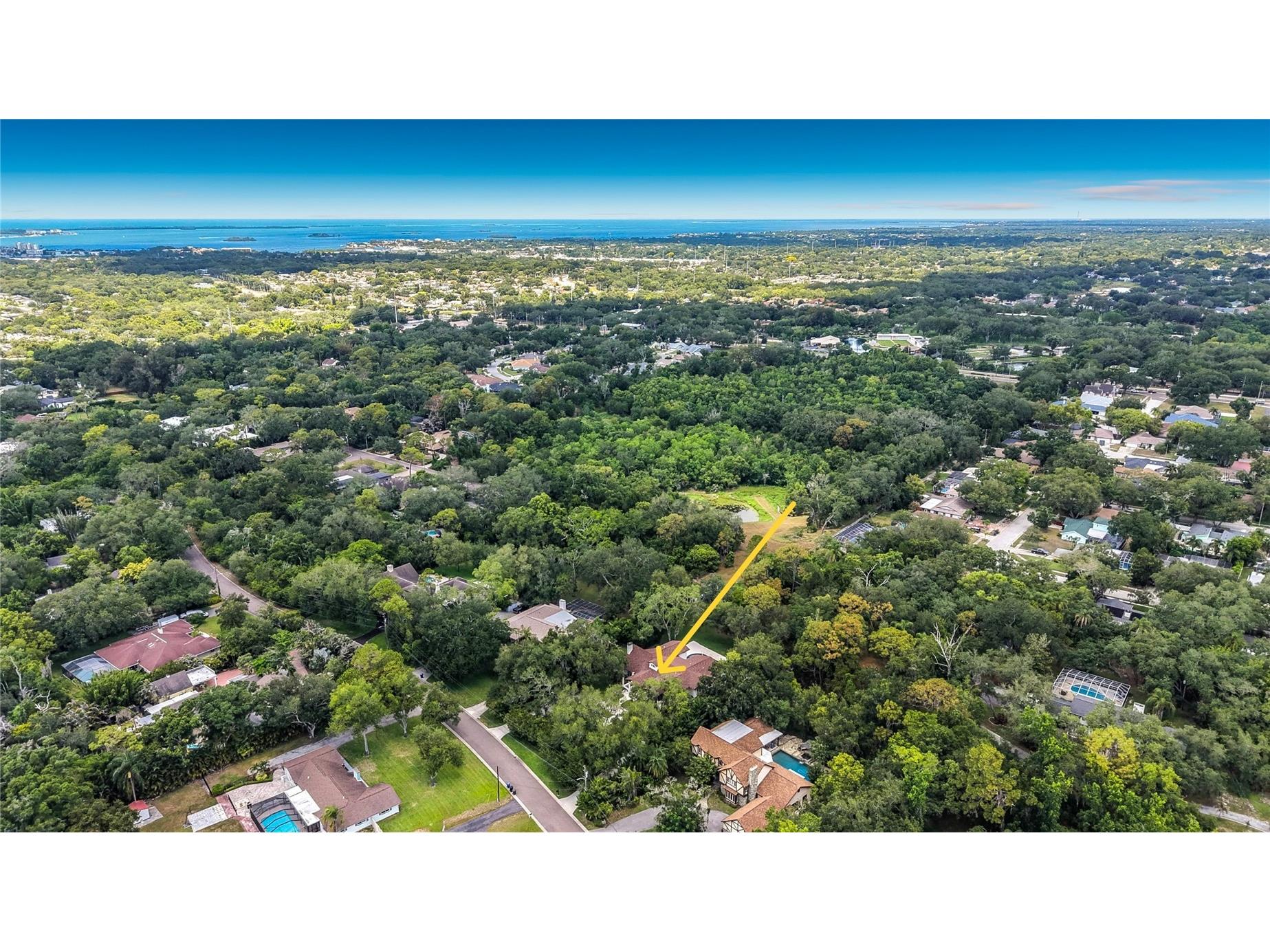 1850 Oak Creek Drive Dunedin FL 34698 - CURLEW CREEK TB8526218 image69