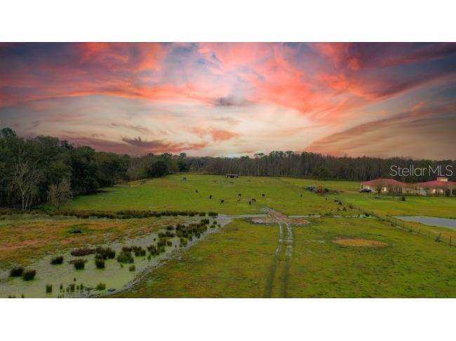 1850 Sloans Ridge Road Groveland FL 34736 O6225260 image1