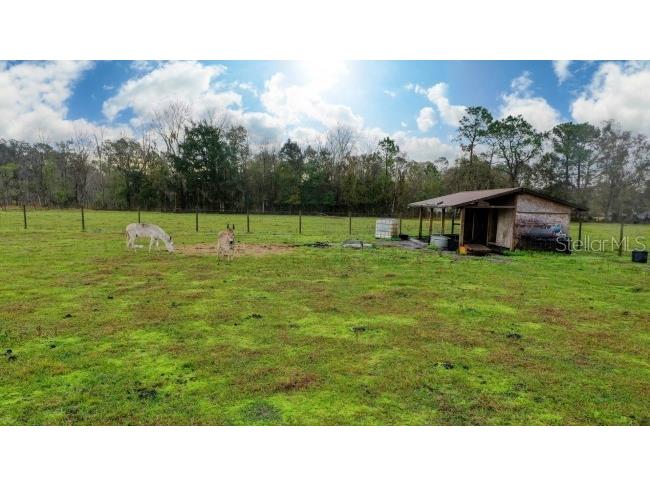 1850 Sloans Ridge Road Groveland FL 34736 O6225260 image2