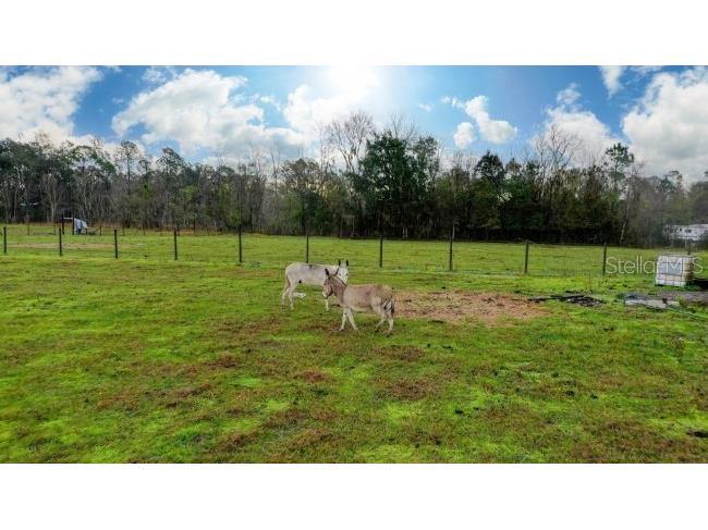 1850 Sloans Ridge Road Groveland FL 34736 O6225260 image4