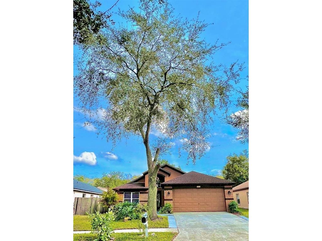 1850 Tinker Drive Lutz FL 33559 U8186265 image1