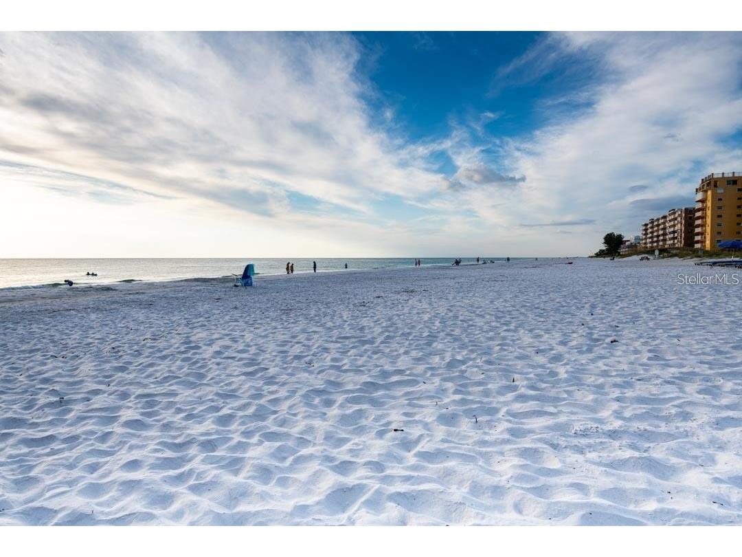 18500 Gulf Boulevard #507 Indian Shores FL 33785 TB8487895 image3