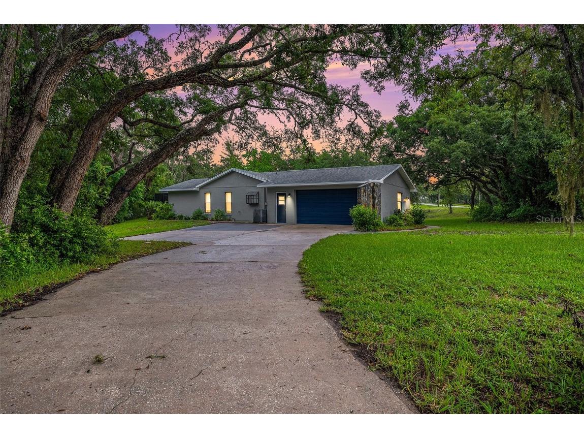 18500 Hollyhock Drive Hudson FL 34667 U8250326 image1