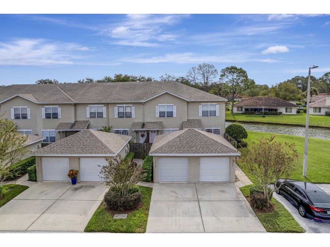 18503 Pebble Lake Court Tampa FL 33647 T3492256 image1