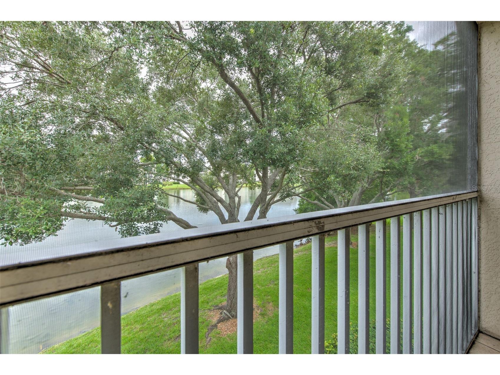18504 Pebble Lake Court Tampa FL 33647 TB8516220 image41