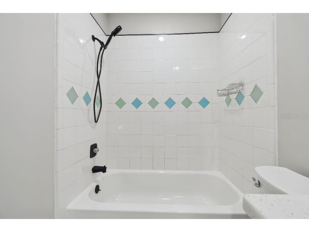 18504 Putters Place Tampa FL 33647 TB8402462 image27