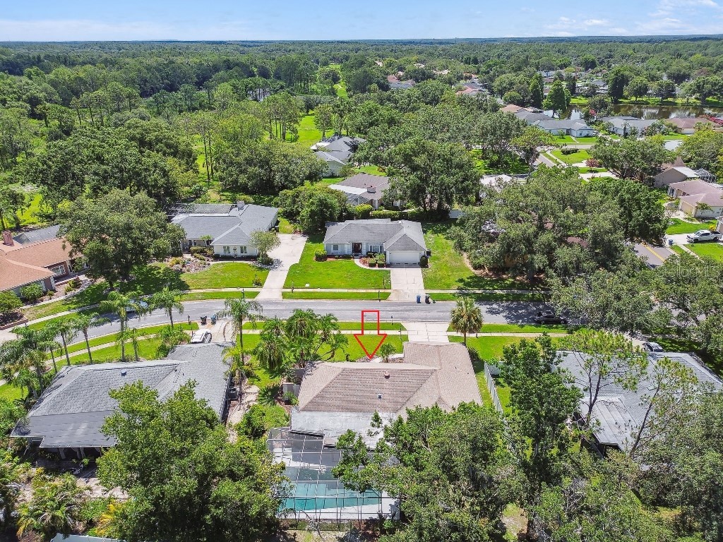 18504 Putters Place Tampa FL 33647 TB8402462 image38