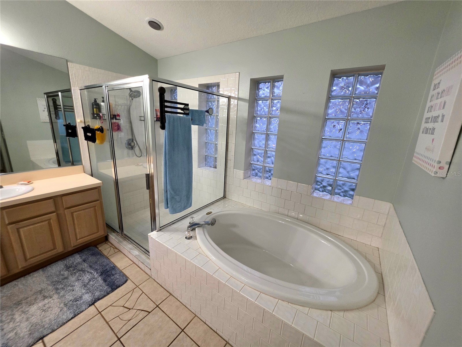 18507 Country Crest Place Tampa FL 33647 TB8515557 image24
