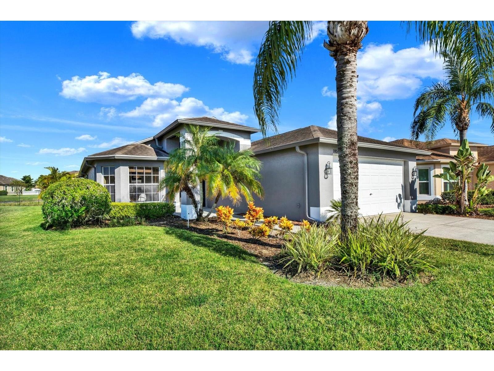 1851 Arbor Knoll Loop Trinity FL 34655 TB8431724 image1