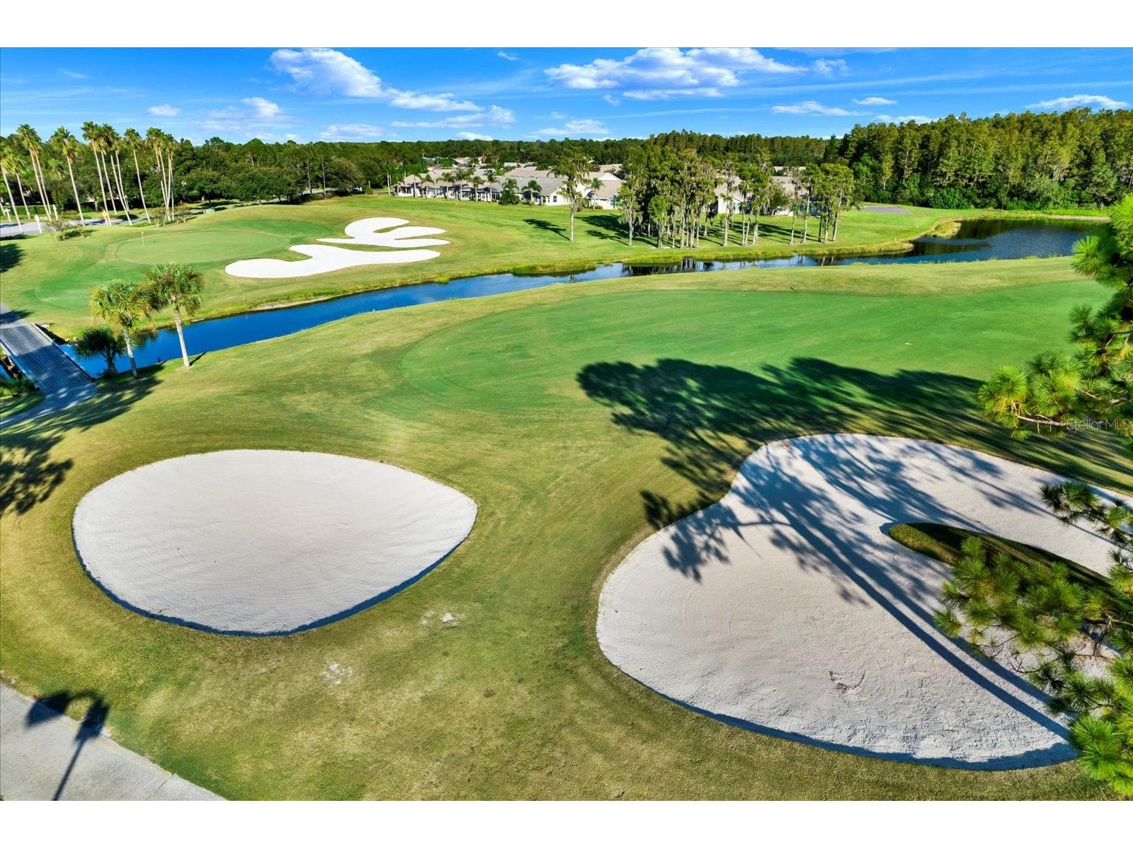 1851 Arbor Knoll Loop Trinity FL 34655 TB8431724 image35