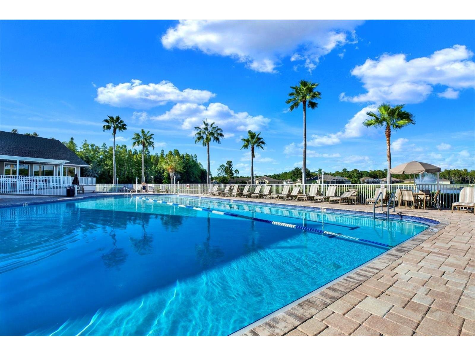 1851 Arbor Knoll Loop Trinity FL 34655 TB8431724 image37