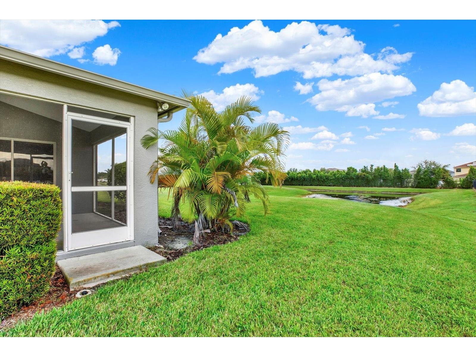 1851 Arbor Knoll Loop Trinity FL 34655 TB8431724 image45