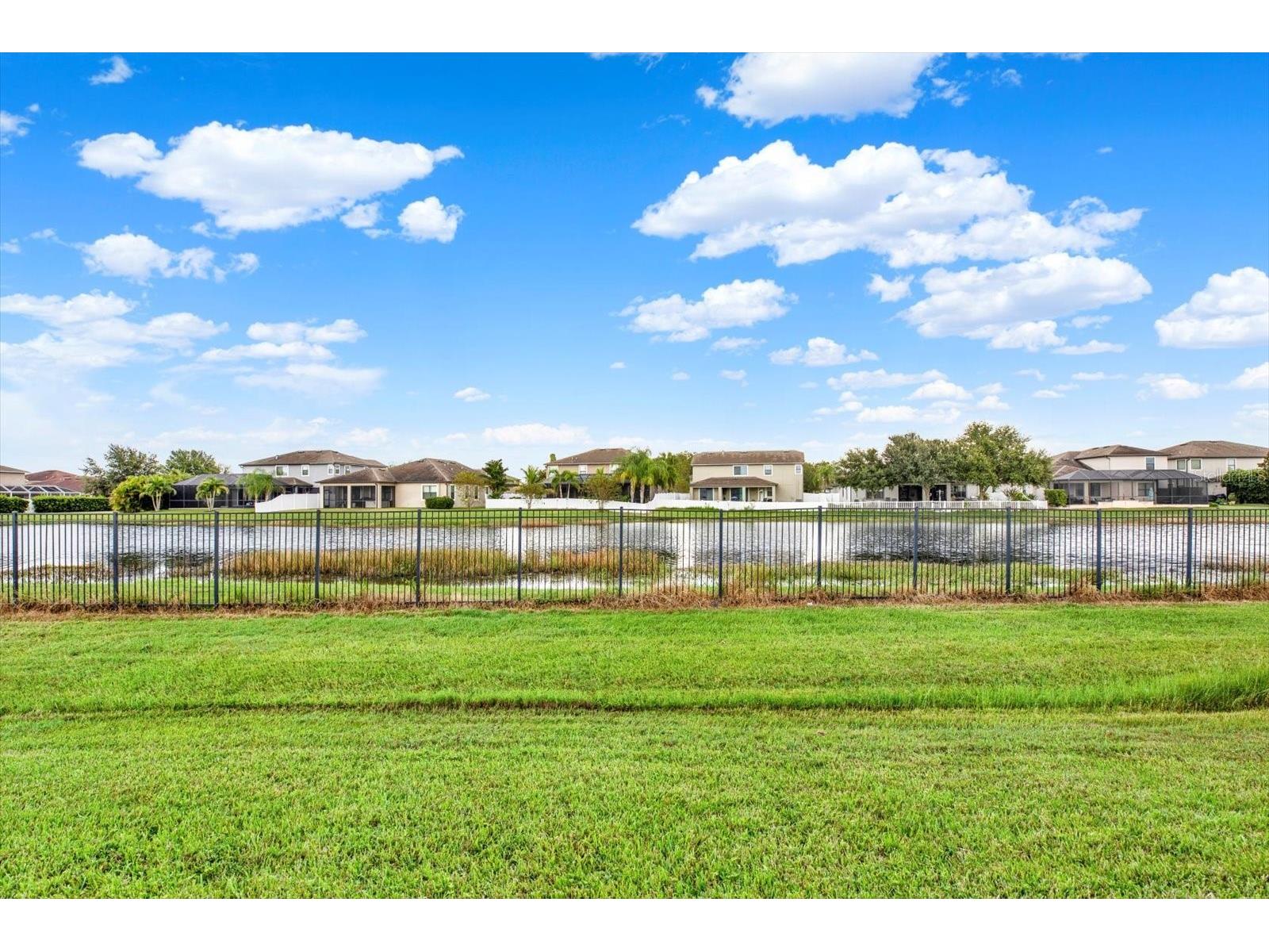 1851 Arbor Knoll Loop Trinity FL 34655 TB8431724 image48