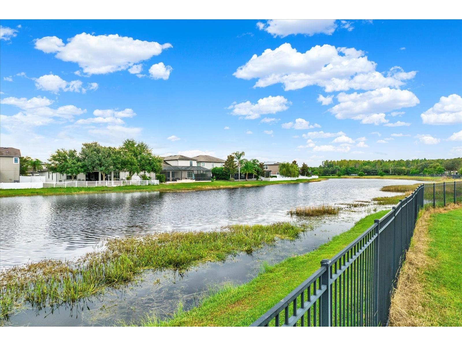 1851 Arbor Knoll Loop Trinity FL 34655 TB8431724 image49