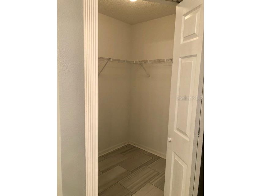 1851 Falling Star Lane Lutz FL 33549 TB8514281 image19