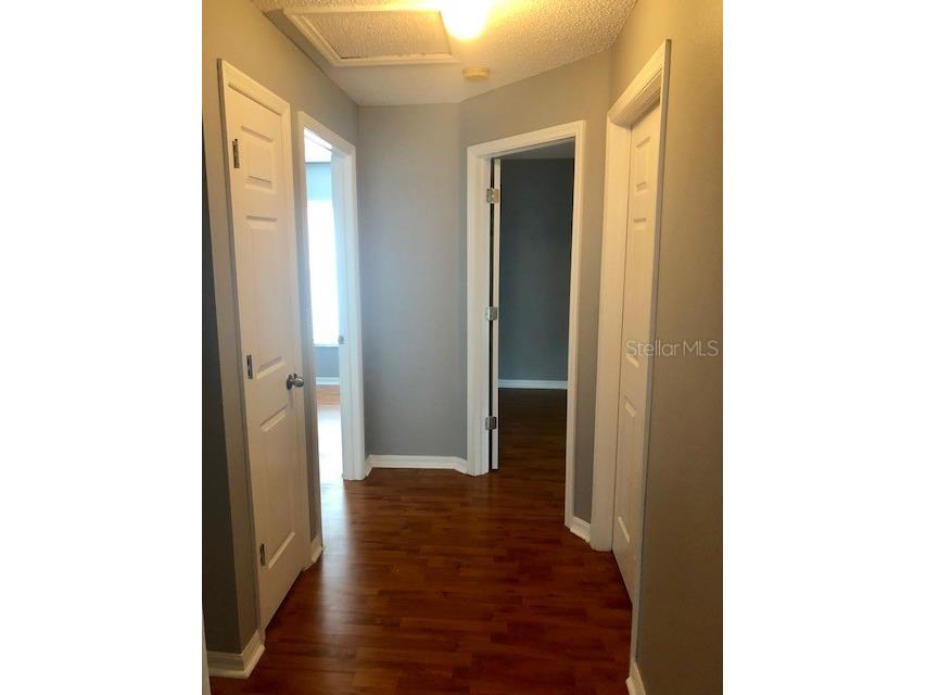 1851 Falling Star Lane Lutz FL 33549 TB8514281 image25