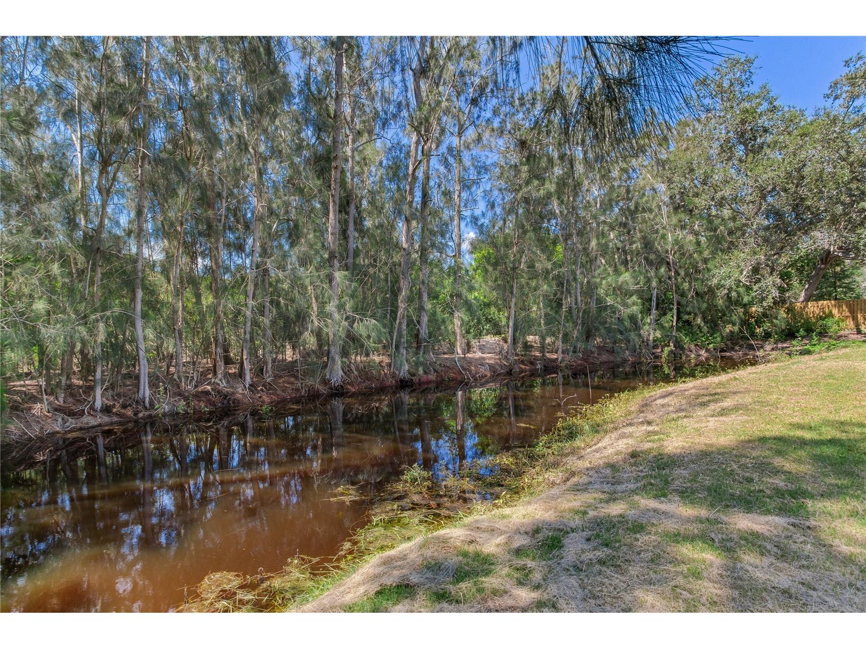 1851 Juanita Court Clearwater FL 33764 TB8490553 image58