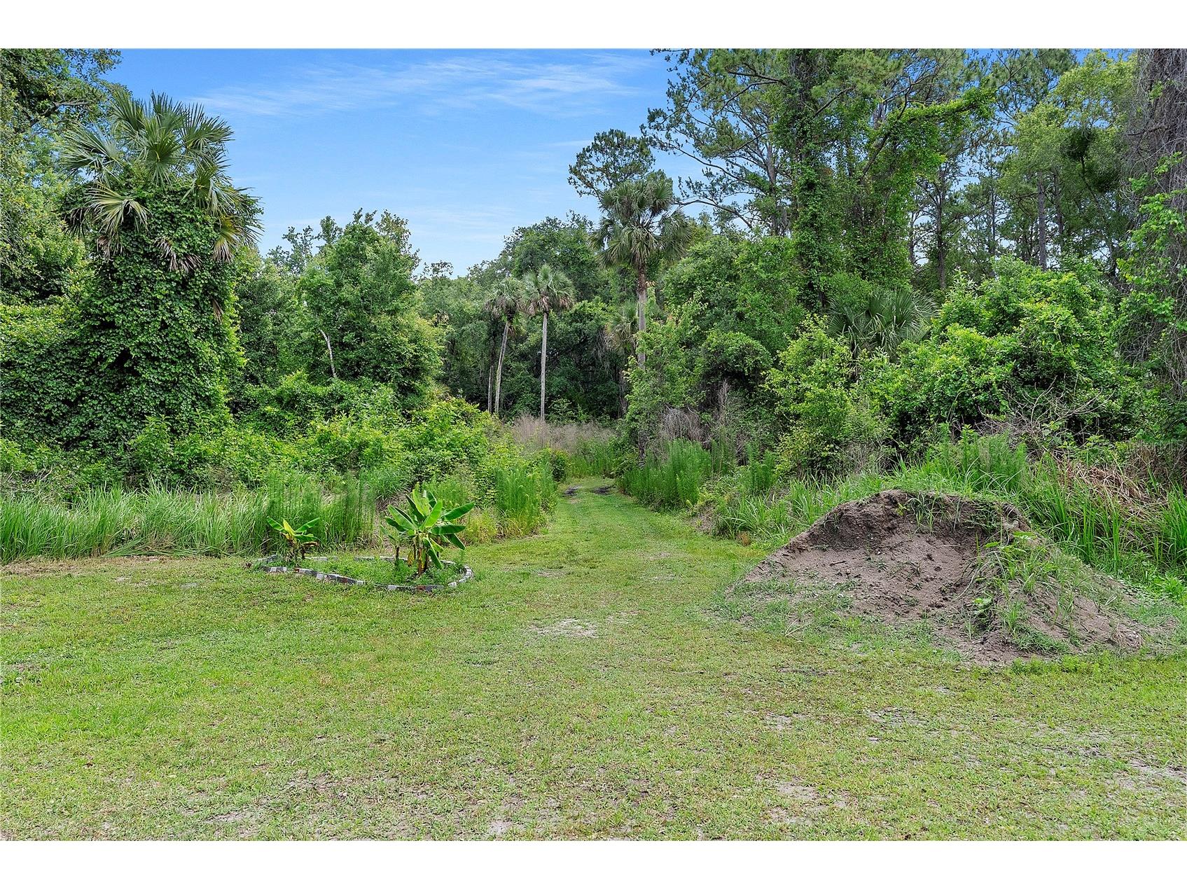 1851 Maytown Road Oak Hill FL 32759 O6408631 image44