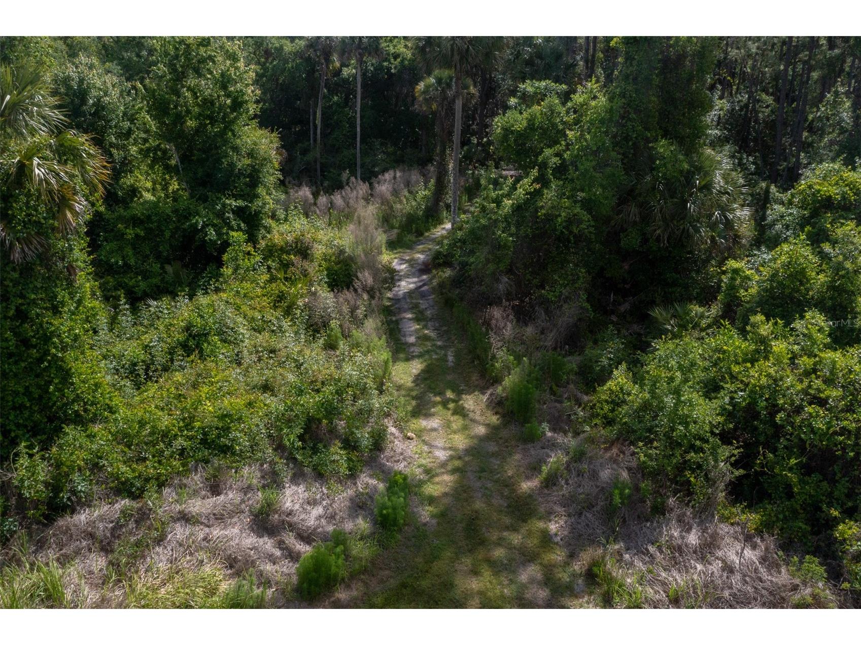 1851 Maytown Road Oak Hill FL 32759 O6408631 image56