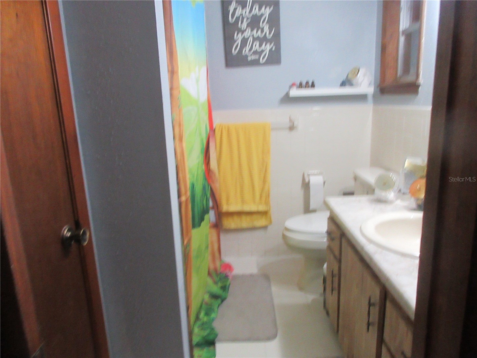 1851 SE 176th Avenue Silver Springs FL 34488 OM726471 image22