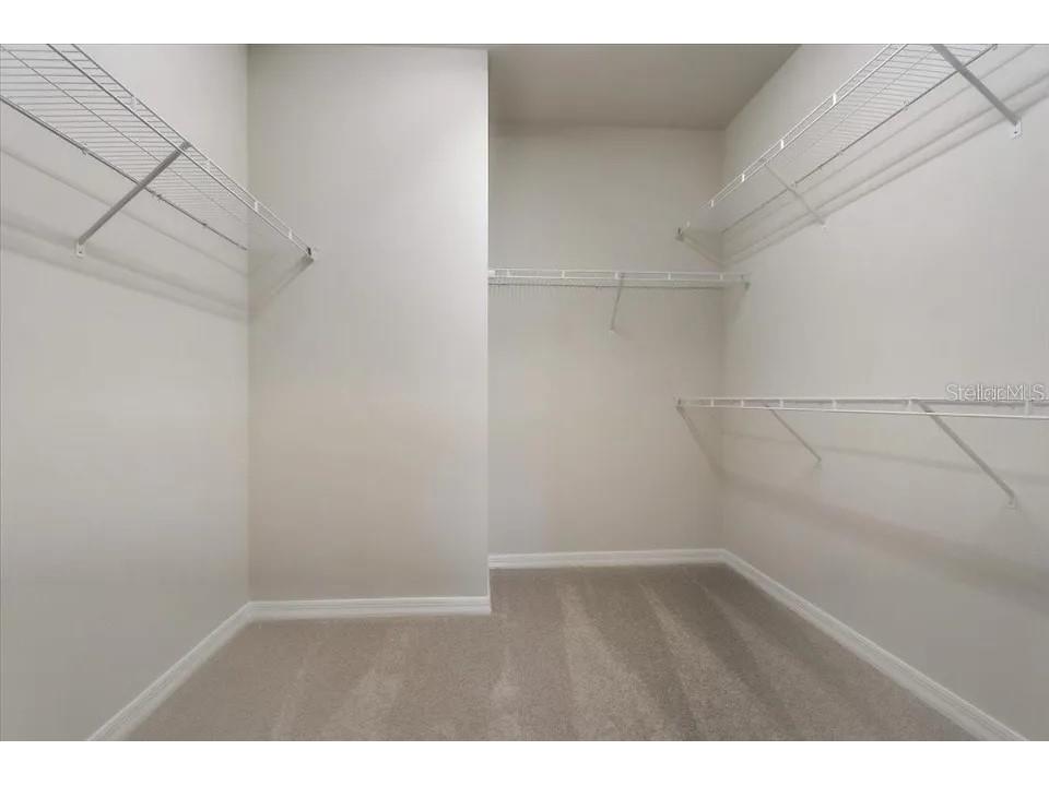 1851 Terrapin Road Ocoee FL 34761 S5130660 image32