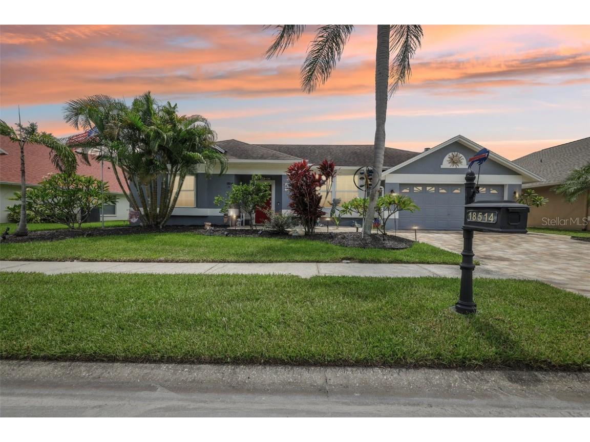 18514 Avocet Drive Lutz FL 33558 TB8405818 image1