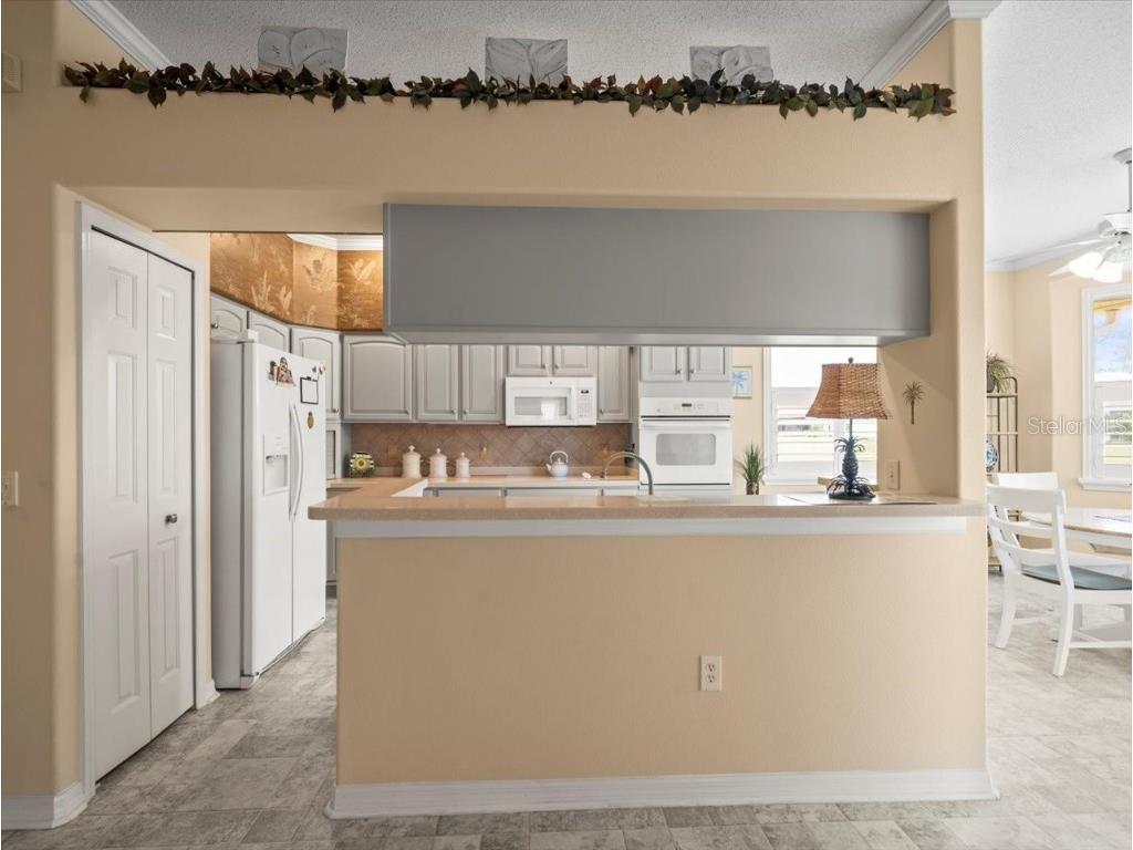 18514 Hidden Pines Way Hudson FL 34667 TB8382280 image14