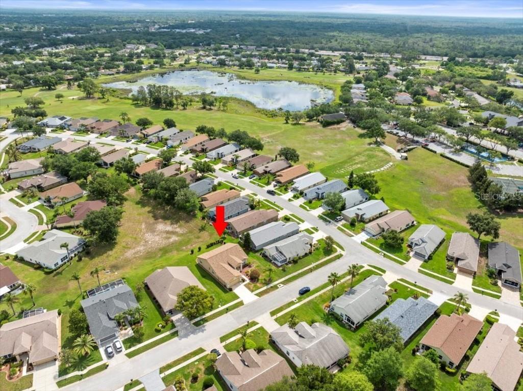 18514 Hidden Pines Way Hudson FL 34667 TB8382280 image49