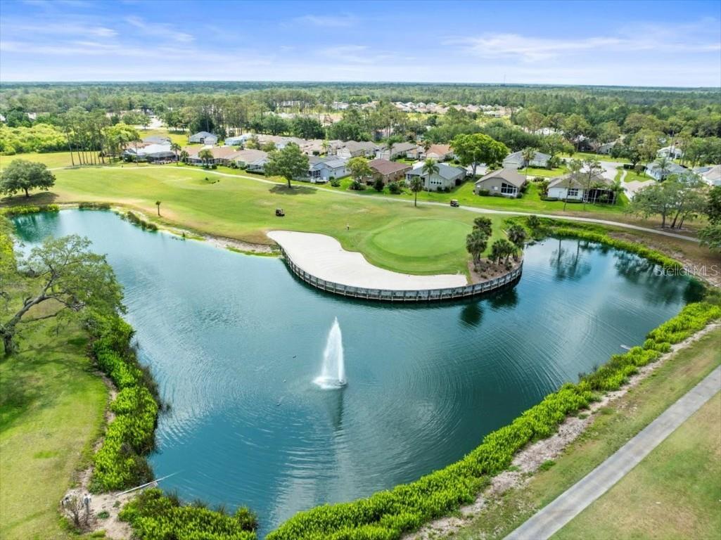 18514 Hidden Pines Way Hudson FL 34667 TB8382280 image56