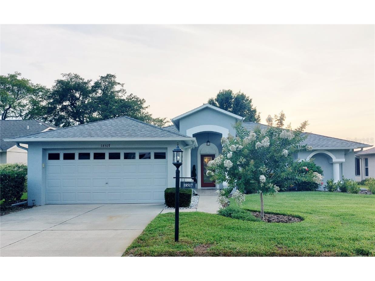 18517 Water Lily Lane Hudson FL 34667 U8202460 image1