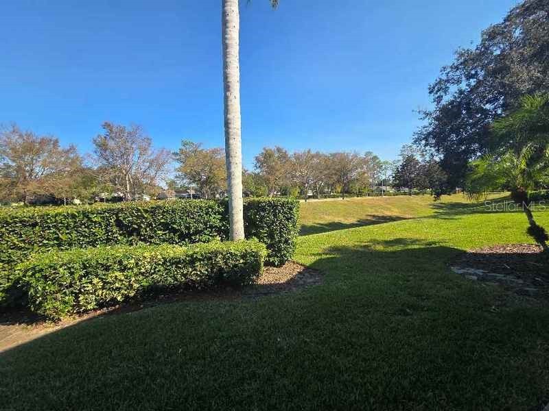 18518 Gentle Breeze Court Hudson FL 34667 TB8451858 image4