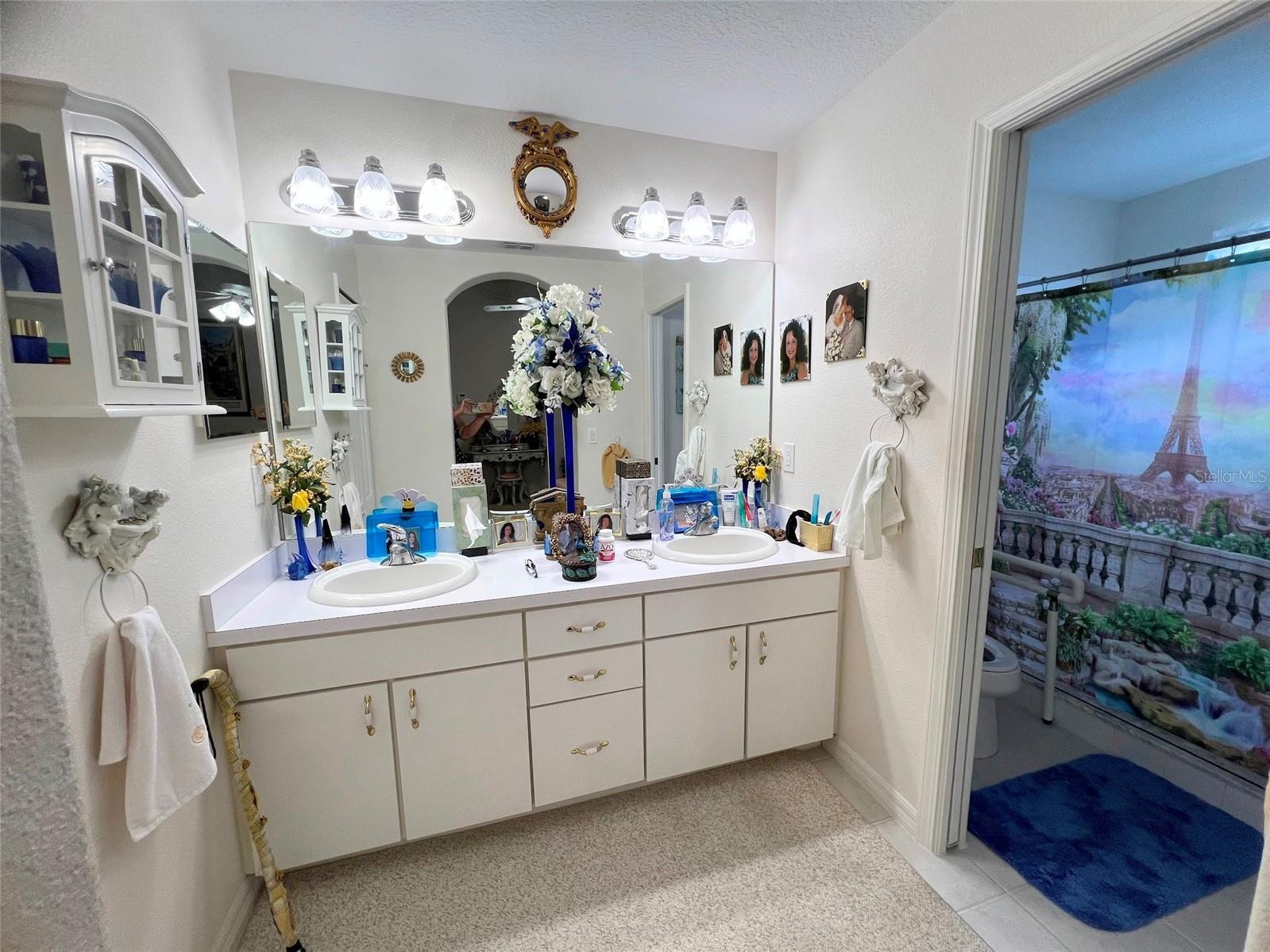 1852 Arbor Knoll Loop Trinity FL 34655 TB8509663 image23
