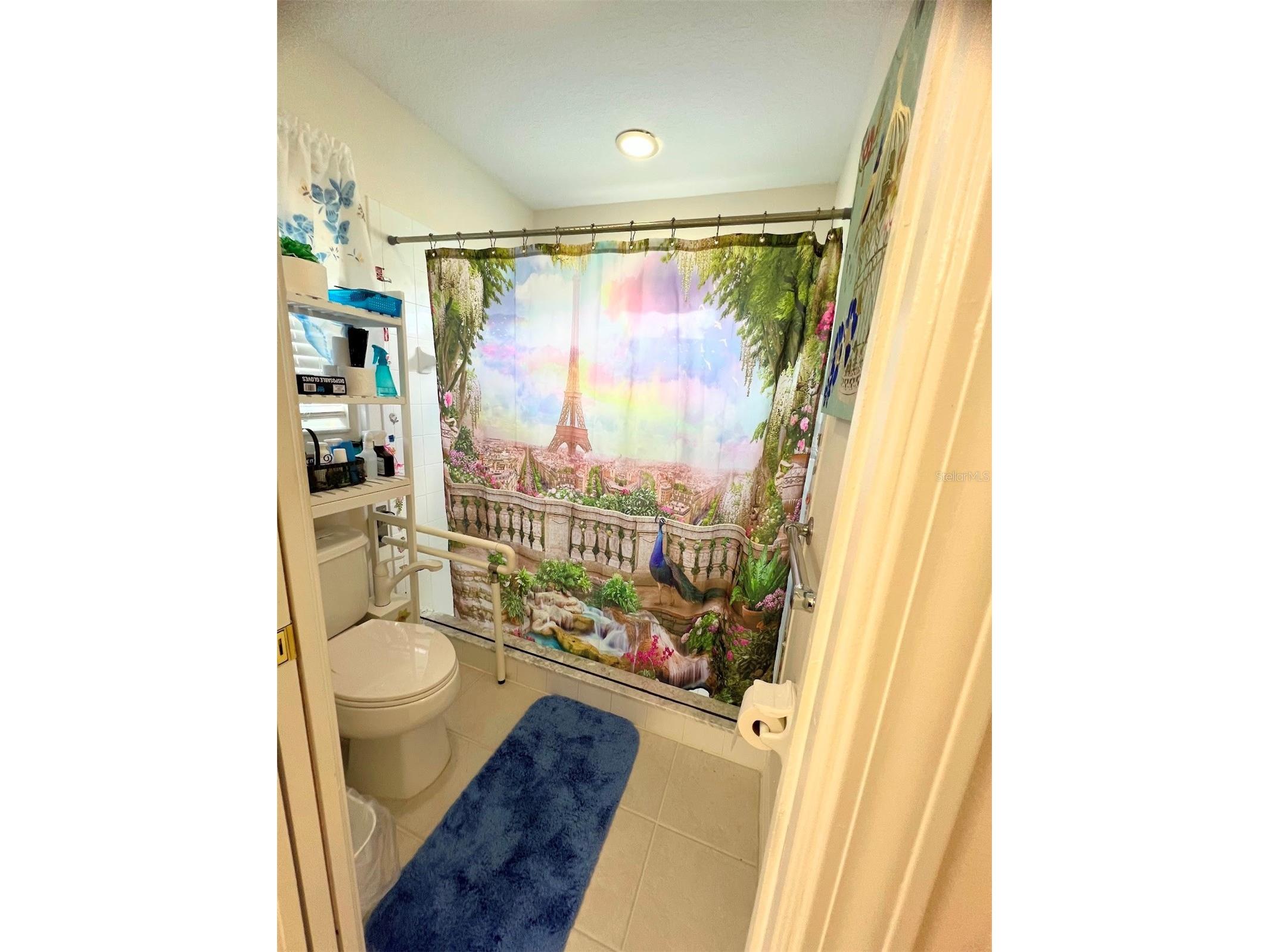 1852 Arbor Knoll Loop Trinity FL 34655 TB8509663 image24