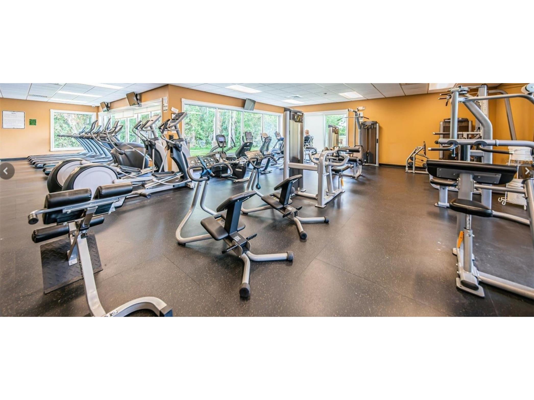 1852 Arbor Knoll Loop Trinity FL 34655 TB8509663 image49