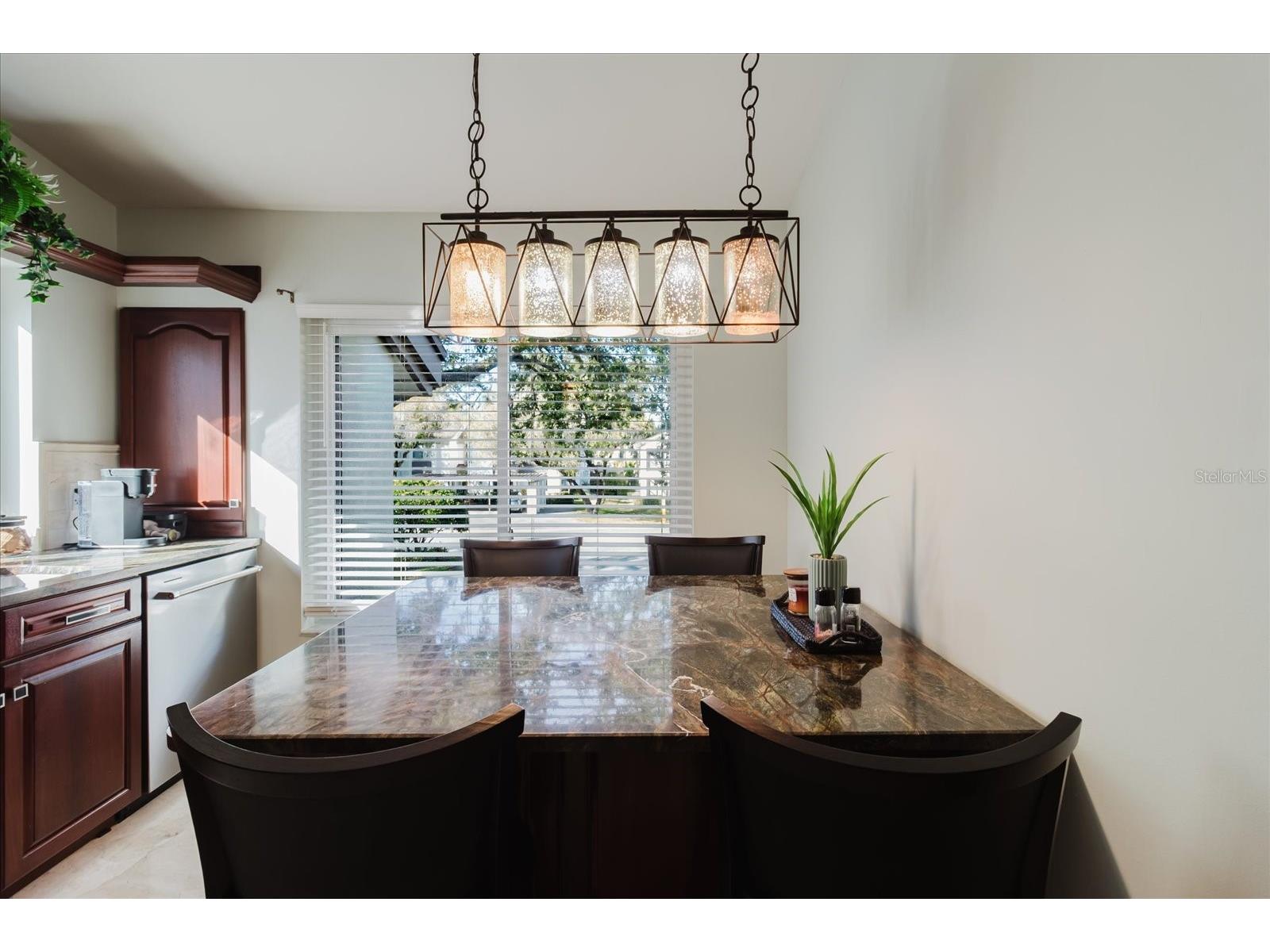 1852 Lake Cypress Drive #1852 Safety Harbor FL 34695 TB8471122 image21