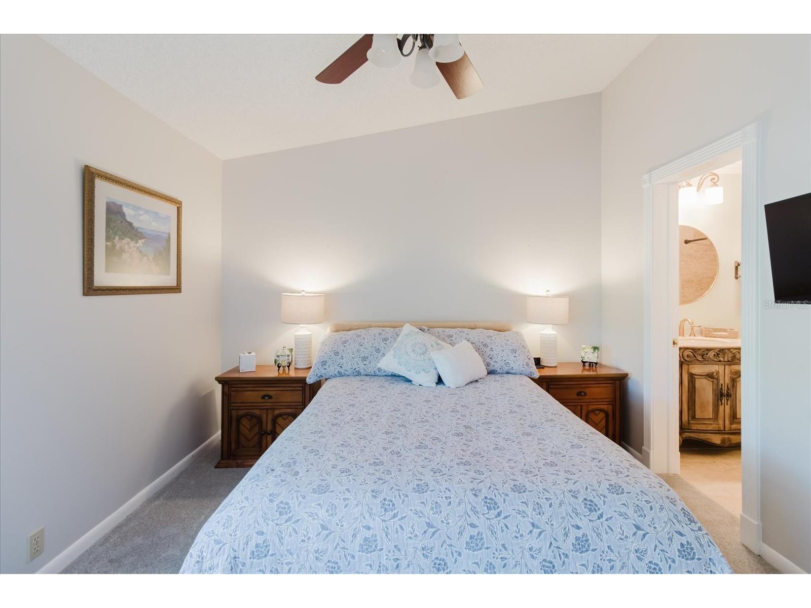 1852 Lake Cypress Drive #1852 Safety Harbor FL 34695 TB8471122 image43