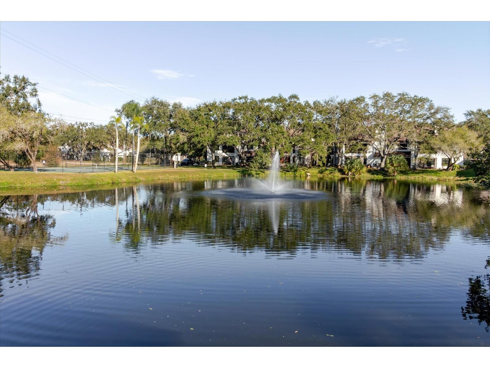 1852 Lake Cypress Drive #1852 Safety Harbor FL 34695 TB8471122 image65