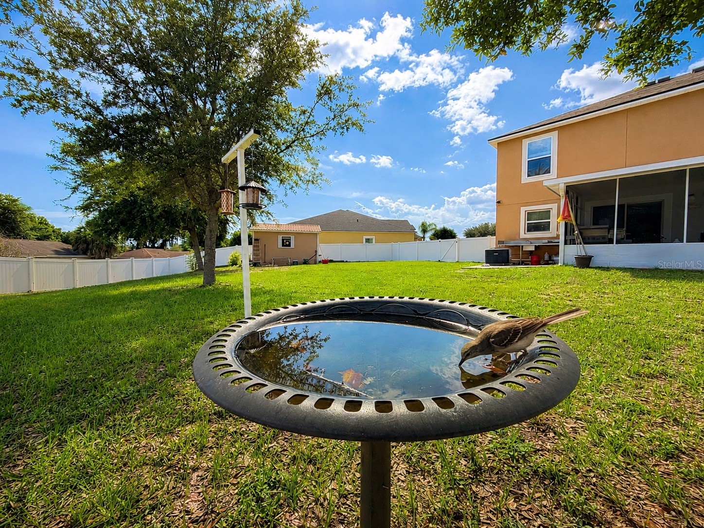 1852 Piedmont Court Mascotte FL 34753 O6410246 image11