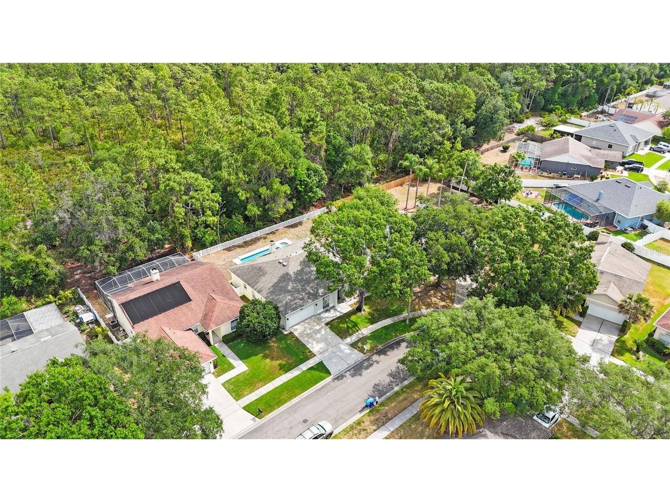 18520 Ambly Lane Tampa FL 33647 TB8438061 image38