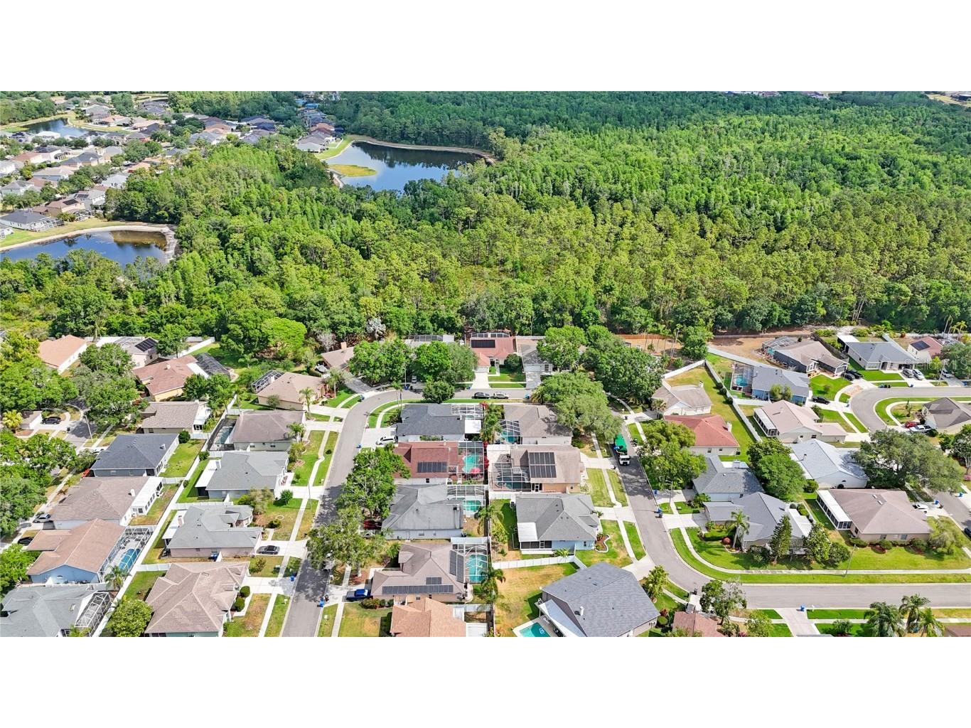 18520 Ambly Lane Tampa FL 33647 TB8438061 image39