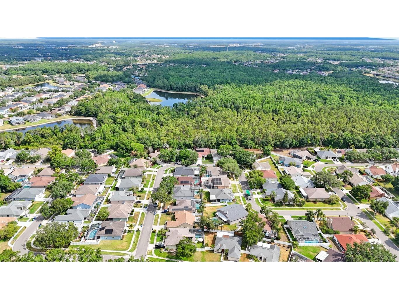 18520 Ambly Lane Tampa FL 33647 TB8438061 image40