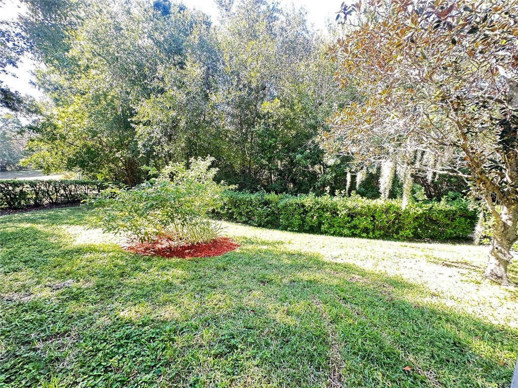 18523 Queen Brooks Court Hudson FL 34667 W7880490 image46