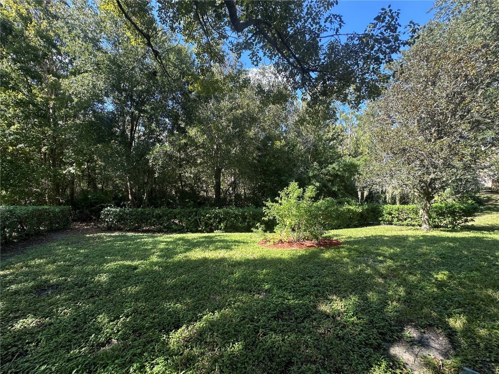 18523 Queen Brooks Court Hudson FL 34667 W7880490 image47