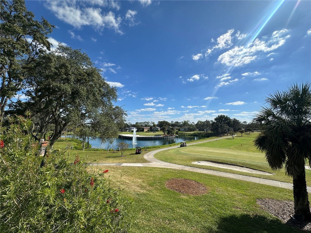 18523 Queen Brooks Court Hudson FL 34667 W7880490 image50