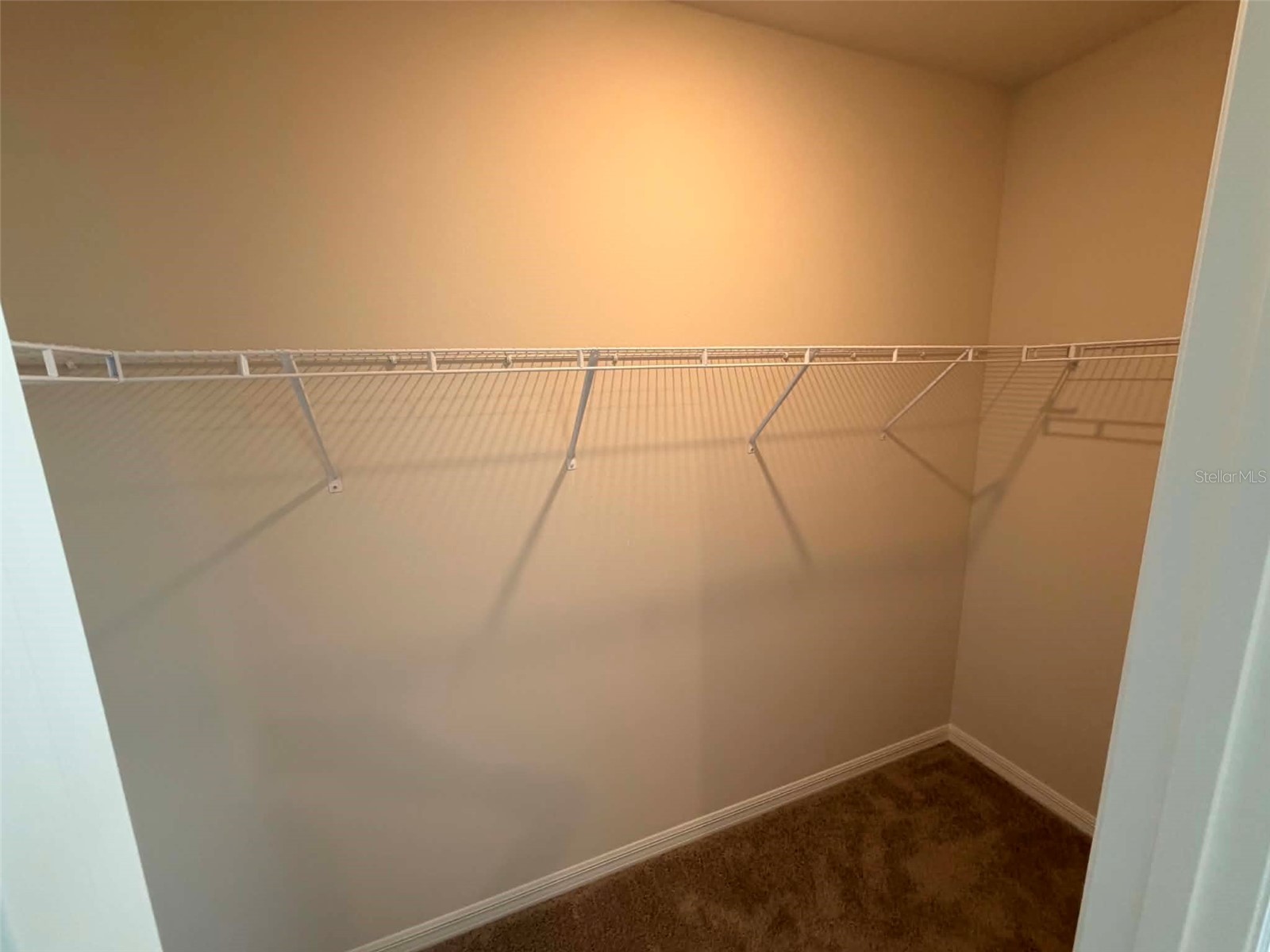 18524 Buckskin Drive Bradenton FL 34211 TB8511062 image14