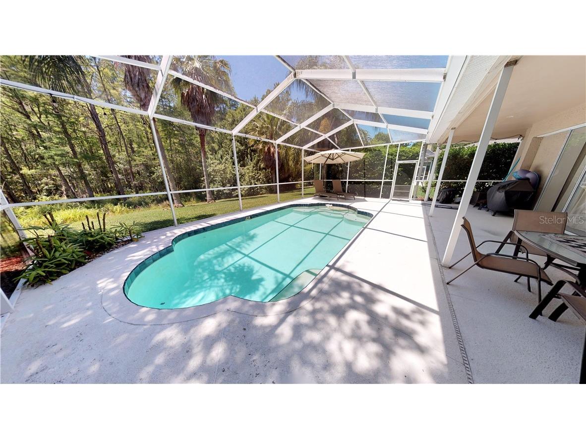 18525 Bittern Avenue Lutz FL 33558 T3188707 image13