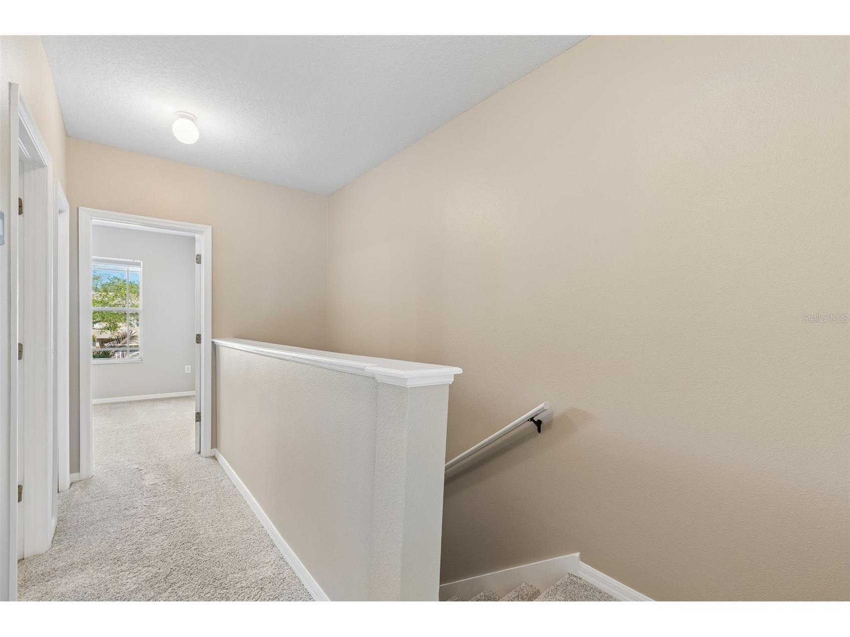 18529 Pebble Lake Court Tampa FL 33647 TB8499720 image21