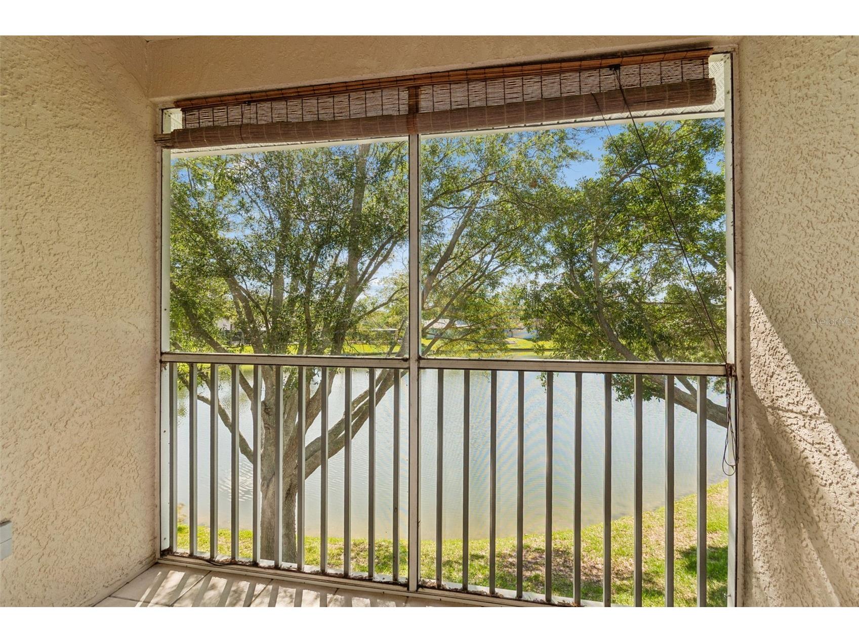 18529 Pebble Lake Court Tampa FL 33647 TB8499720 image40